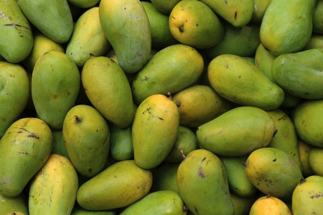 Seasonal Swings in Sri Lanka’s Mango Market: A Balancing Act with Economic Insights