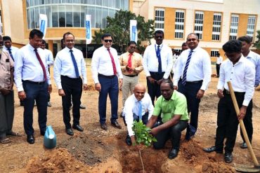 ComBank commences planting 10,000 trees in Kilinochchi and Jaffna districts